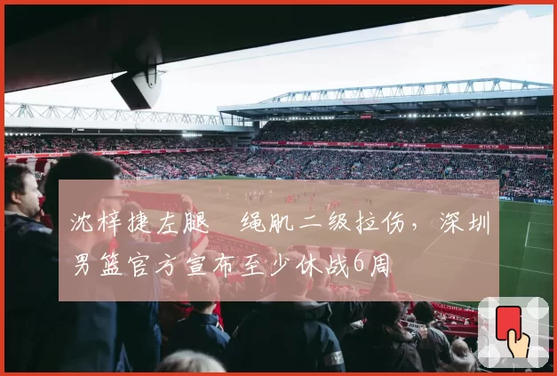 沈梓捷左腿腘绳肌二级拉伤，深圳男篮官方宣布至少休战6周