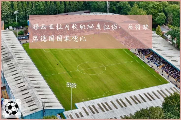 穆西亚拉内收肌轻度拉伤，或将缺席德国国家德比