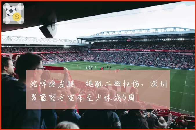 沈梓捷左腿腘绳肌二级拉伤，深圳男篮官方宣布至少休战6周