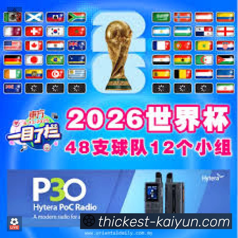 开云App 下载二维码